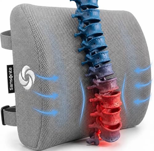 Memory Foam Lumbar Support Pillow for Office Chair