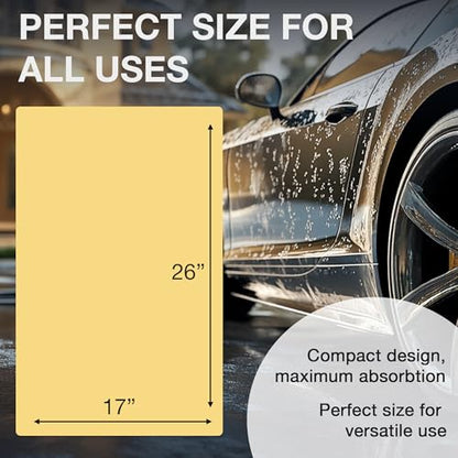 Car Shammy Cloth (2 Count)