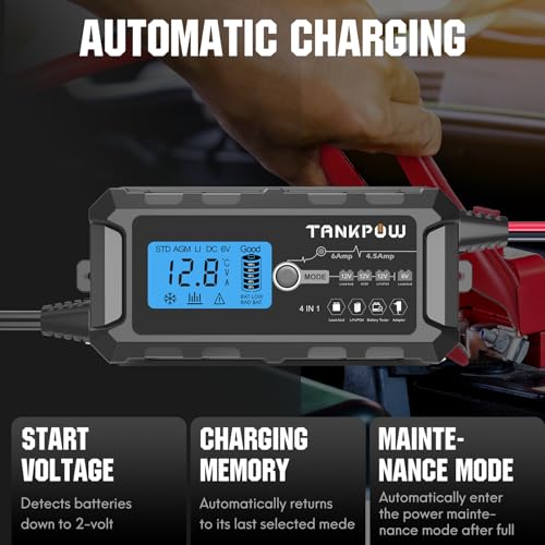 6V 12V 6A Automatic Battery Charger