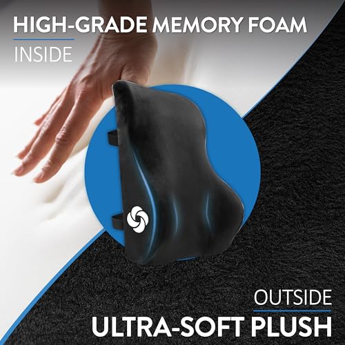 Memory Foam Lumbar Support Pillow