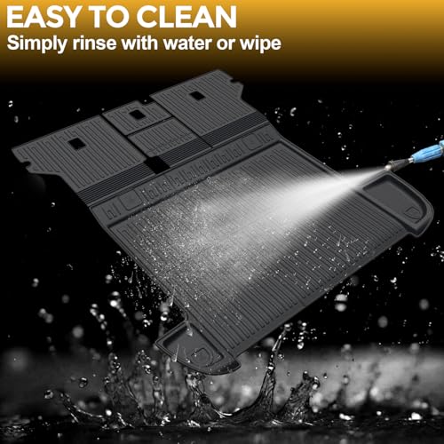 Cargo Mat for 2013
