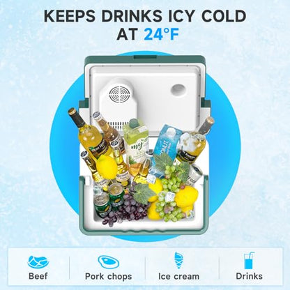 Electric Cooler & Warmer with Handle 26.5 Quart