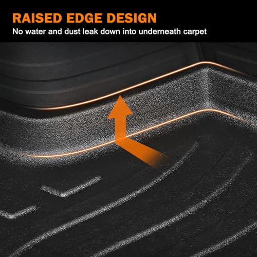 Trunk Cargo Mat for 2011