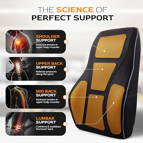 Extra Dense Lumbar Support Pillow with Double Adjustable Straps