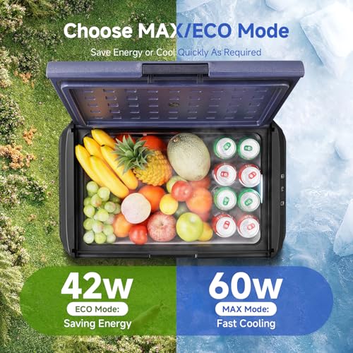 12v Car Refrigerator