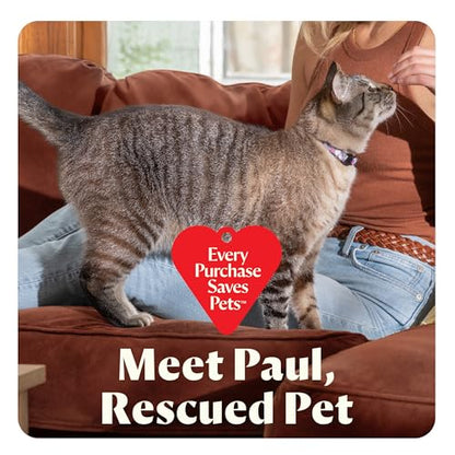 Little Green Mini Portable Carpet Cleaner
