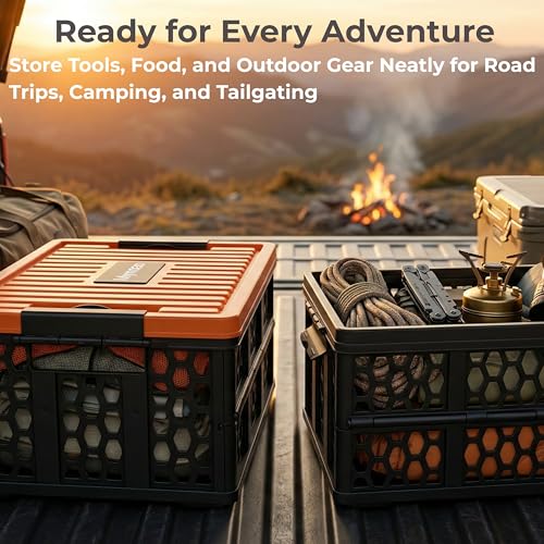 Trunk Crate Organizer with Cooler for Car