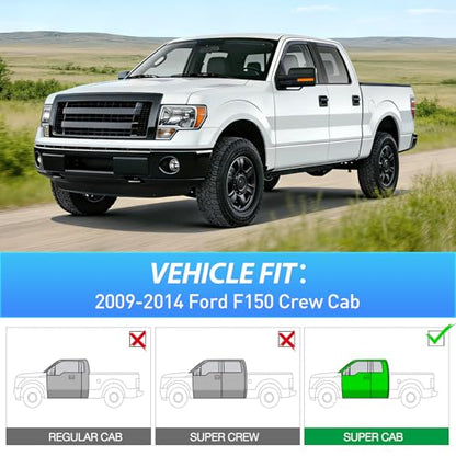 in Channel Rain Guards for Ford F150 Crew Cab 2009 (4 Count)
