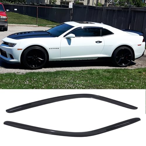 Window Visors Dark Smoke Rain Guards for 2010 (2 Count)