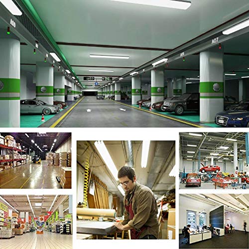 10PCS 8ft R17D LED Tube Light (10 Count)