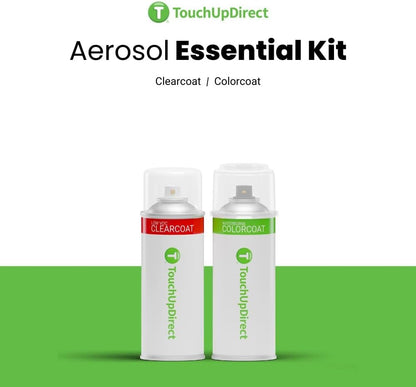 TouchUpDirect 1C8 Luner Mist Silver Metallic Compatible with Toyota Exact Match Touch Up Paint Aerosol - Essential Kit