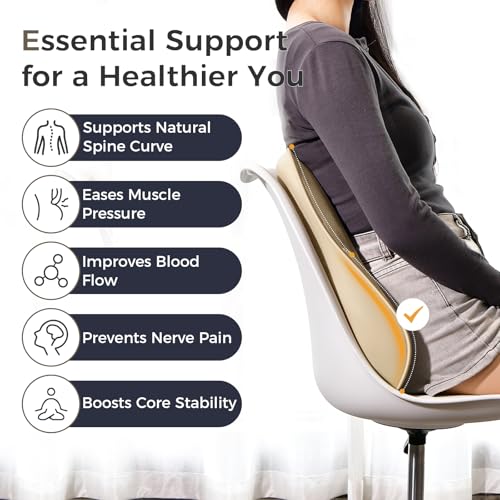Lumbar Support Pillow for Car