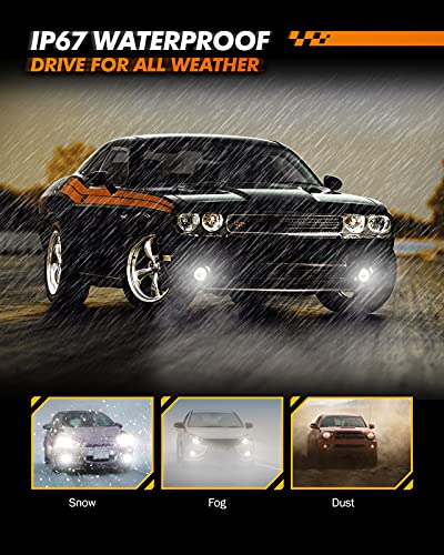H11 H16 LED Fog Light Bulb (2 Count)