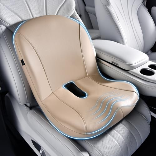 Car Seat Cushion and Lumbar Support Pillow One Piece