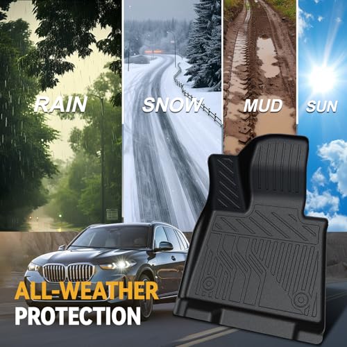 Floor Mats for 2019