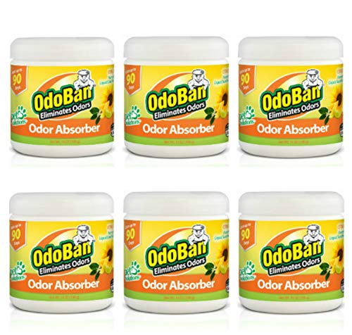 Solid Odor Absorber Eliminator for Home and Small Spaces (84 Ounce)