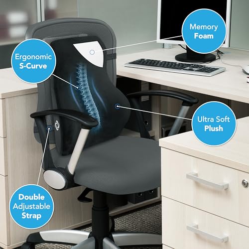 Memory Foam Lumbar Support Pillow
