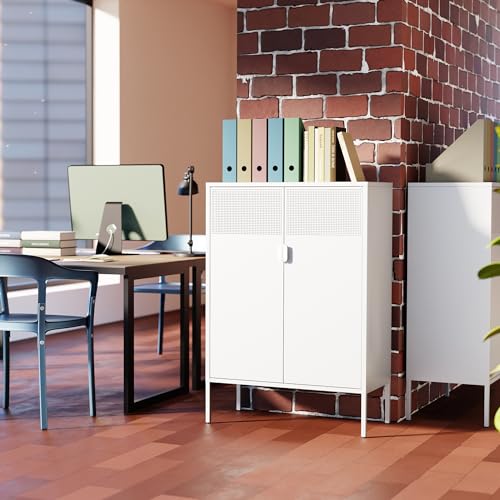 2 Mesh Door Metal Storage Cabinet with Adjustable Shelves