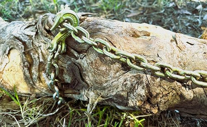 Heavy Duty 3 8”x 10ft Grade 70 Recovery Log Chain