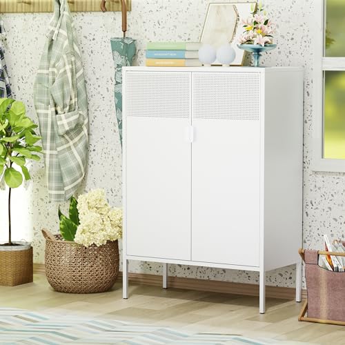 2 Mesh Door Metal Storage Cabinet with Adjustable Shelves