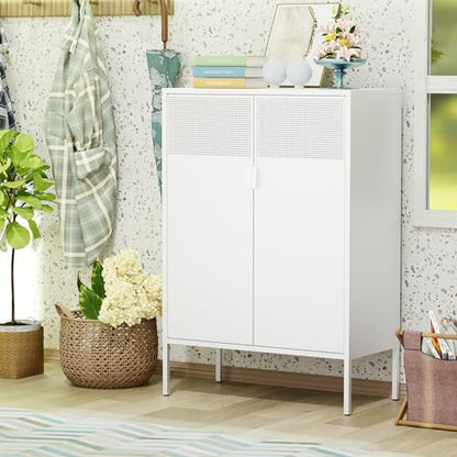2 Mesh Door Metal Storage Cabinet with Adjustable Shelves