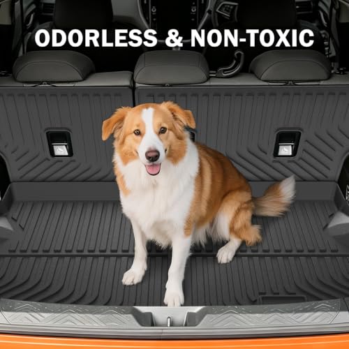 Floor Mats for 2018 (6 Count)