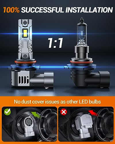 Bulbs (2 Count)