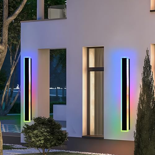 Outdoor Modern Wall Lights for Porch (2 Count)