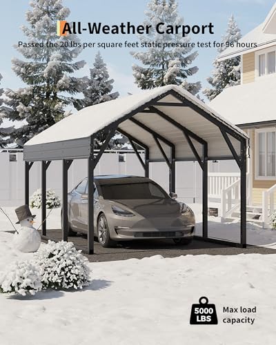 10 x 15 FT Metal Carport