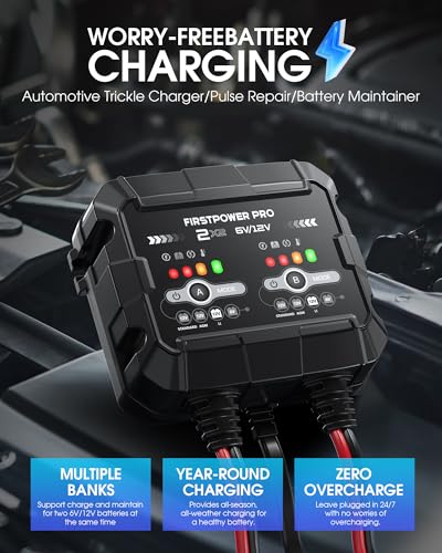 2-Bank, 4A (2A/Bank) Trickle Charger for Car Battery, 12V 6V Car Battery Charger, Automotive Battery Trickle Charger, Maintainer, for Motorcycle Lawn Mower AGM, Lithium Batteries - 1PC