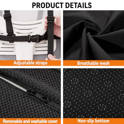 Lumbar Support Pillow for Car