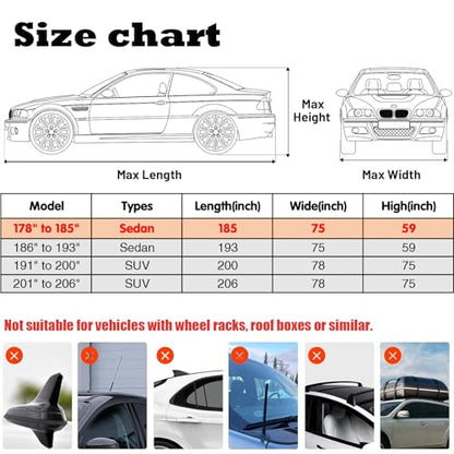 Hail Protector Car Cover