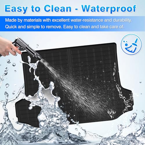 RAV4 Floor Mats