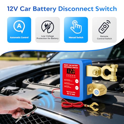 Remote Battery Disconnect Switch 12V (4 Count)