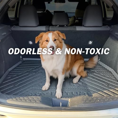 Cargo Trunk Mat for 2018