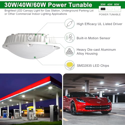 LED Canopy Garage Light Selectable Watt LED Carport Canopy Fixture Lights (208 Ounce)