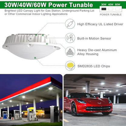 LED Canopy Garage Light Selectable Watt LED Carport Canopy Fixture Lights (208 Ounce)