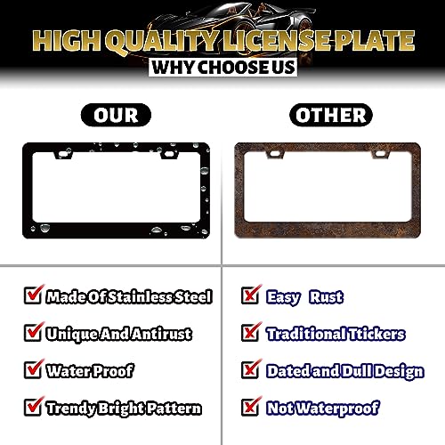 Horse License Plate Frame Stainless Steel Horseshoe License Plate Holder