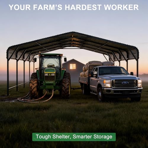 20x20 Heavy Duty Metal Carport