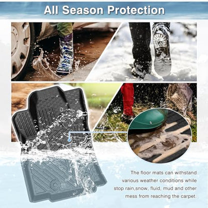 Ascent Floor mats