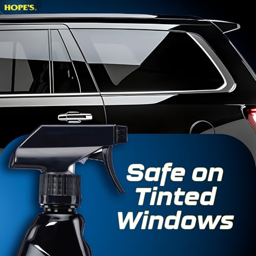 Perfect Glass Automotive Glass Cleaner (23 Fl Oz)