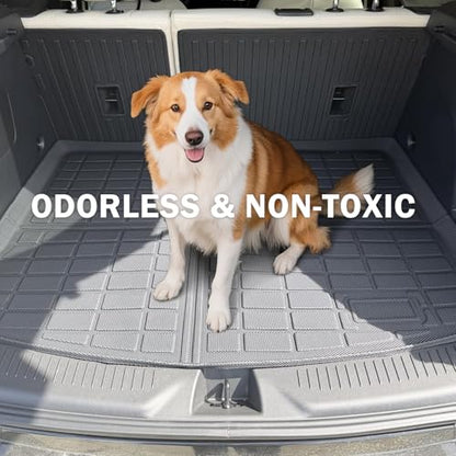 Floor Mats Set for 2020 (6 Count)