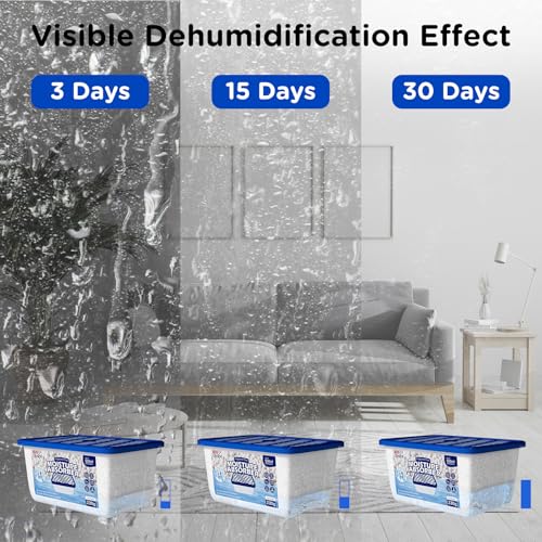 Moisture Absorbers (6 Count)