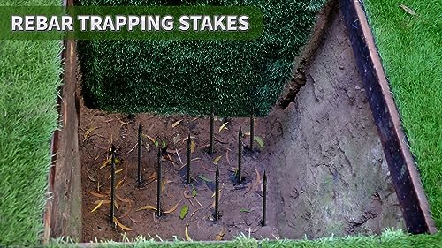 16 inches Rebar Stakes Heavy Duty (34 Count)