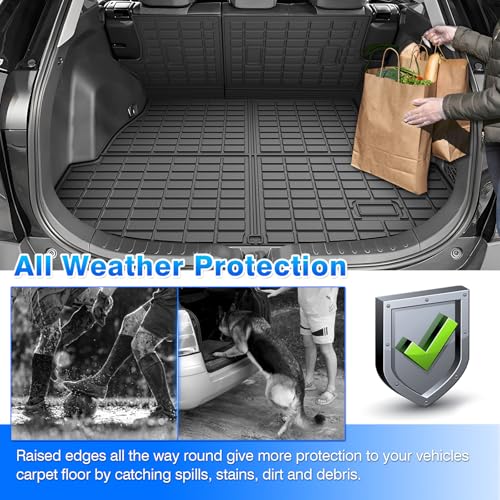 Floor Mats for Toyota RAV4 2019
