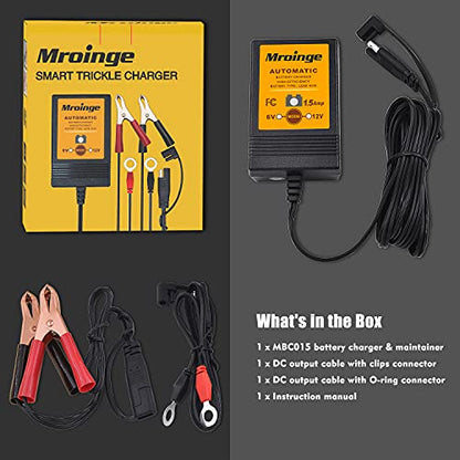 Smart Battery Charger