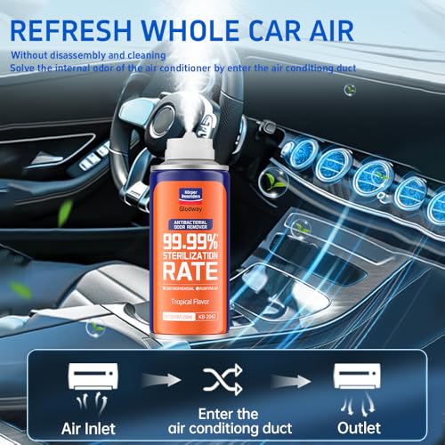 Glodway Whole Car Air Refresher Spray (12 Ounce)