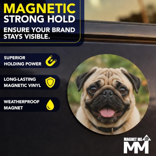 6 Inch Round Car Magnet (5 Count)