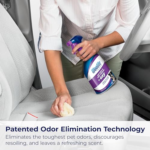 Woolite® Advantage Pet Stain & Odor Remover + Oxy (2 Count)