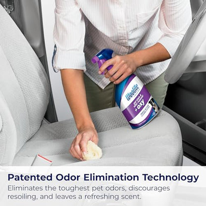 Woolite® Advantage Pet Stain & Odor Remover + Oxy (2 Count)